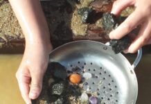 Сделайте шаманский бубен своими руками