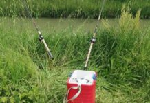 Электронные сигнализаторы поклевки с пейджером: удобство и комфорт на рыбалке