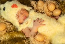 Сны о мертвых цыплятах: толкование