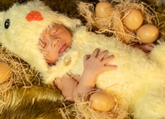 Сны о мертвых цыплятах: толкование