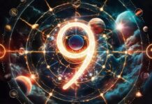 Значение цифры 6 в нумерологии