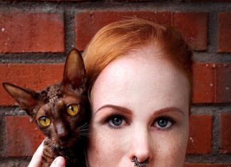 Татуировка кошки у девушки: значение и символ