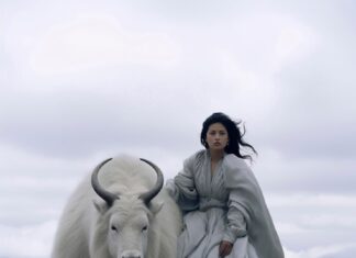 Стрелец и Лев: совместимость в любви и отношениях