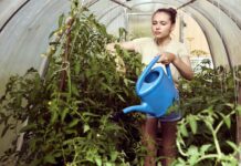 Полив огорода во сне: толкование сна