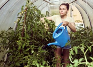 Полив огорода во сне: толкование сна