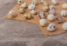 Что происходит с перепелиными яйцами