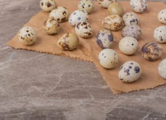 Что происходит с перепелиными яйцами