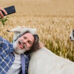 Сны об овцах: толкование для мужчин