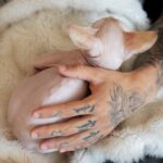 Маленькие тату для девушек на руке