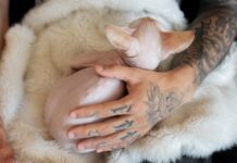 Маленькие тату для девушек на руке