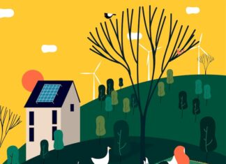 Солнце в Рыбах в 10-м доме