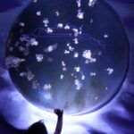 Плутон в астрологии: символ трансформации и власти