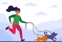 Бежать за собакой во сне: толкование